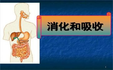 消化内科心得体会7篇