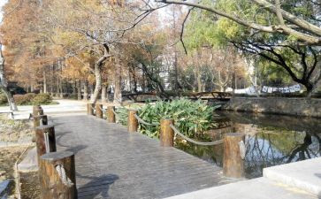 学校内网申请书5篇