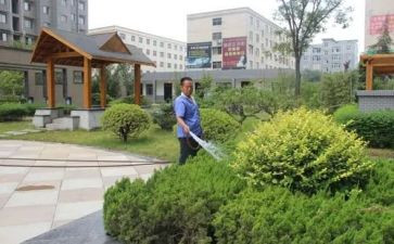 2024年小区物业管理工作总结精选8篇