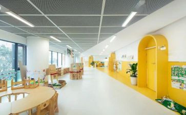小学生环保调查报告7篇