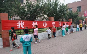 小学数学教师个人年度工作总结8篇