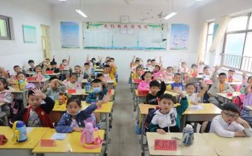 观小学数学课心得体会模板8篇