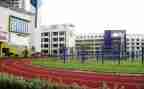 2024小学体育教师个人总结模板8篇
