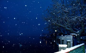 下雪啦幼儿园教案8篇