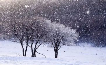 幼儿园下雪啦教案模板8篇