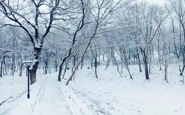 幼儿园下雪啦教案7篇
