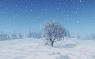 下雪幼儿教案6篇