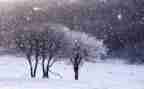 幼儿园下雪啦教案模板8篇
