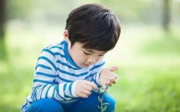 书法兴趣班教学计划7篇