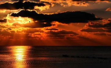 写夕阳作文参考8篇