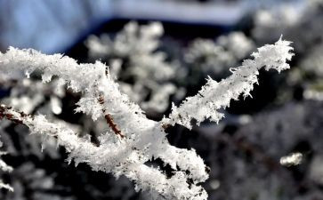 我爱雪作文400字推荐5篇