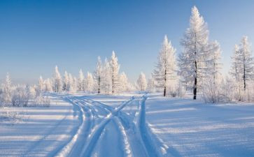 雪读后感一百字7篇