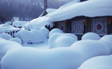 关于雪的作文150字作文模板7篇