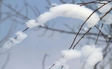 描写雪的作文150字6篇