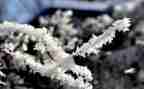 除雪活动策划方案模板模板5篇