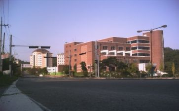大学部门工作总结通用8篇