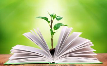 体育教师学期教学工作总结范文6篇
