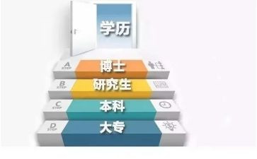 学历史心得体会800字8篇