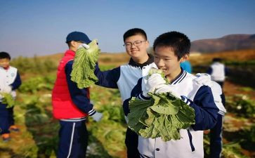 学农心得5篇