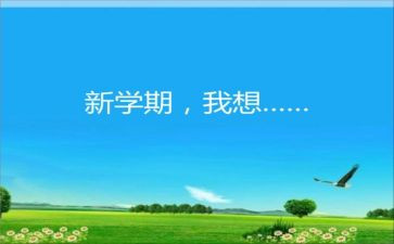 学期教学工作总结个人工作总结优质6篇