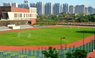 在学校心得体会300字作文6篇