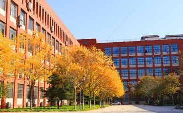 2024学校财务个人总结报告8篇