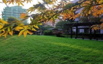 学校心得体会300字作文5篇