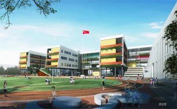 学校特色的工作总结6篇