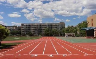 学校生活组工作计划6篇