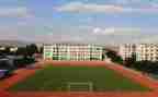 学校2024工作总结模板5篇