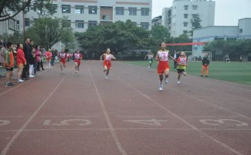 年度学校体育工作报告8篇