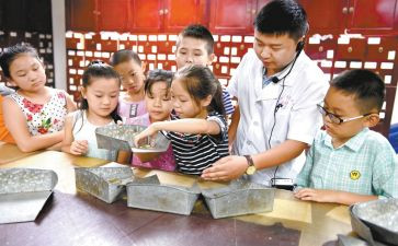 小学艺术工作计划8篇