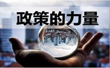 学政策用政策心得体会模板8篇