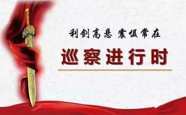 巡察述廉述职报告8篇
