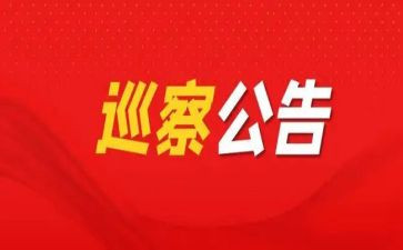 党委巡察工作报告6篇