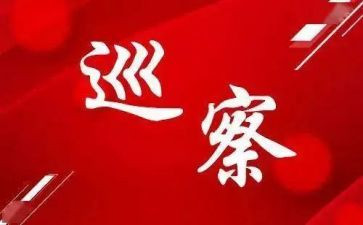 巡察组组长2024年工作总结5篇