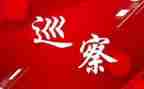 巡察组组长2024年工作总结5篇