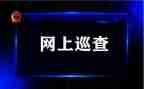 巡查体会心得体会8篇