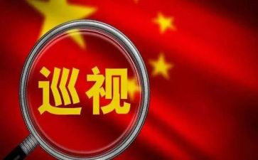 巡视的工作报告6篇