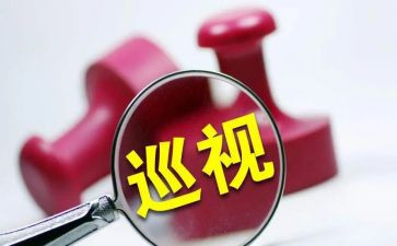 省巡视组工作报告5篇