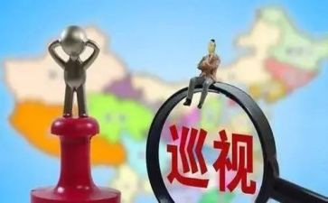 巡视组工作报告5篇