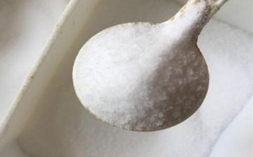 中国雪和中国盐教案通用6篇