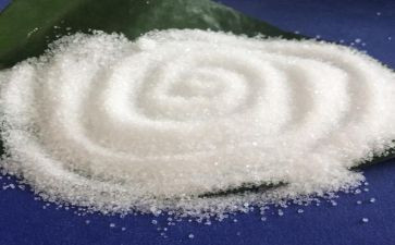 中国雪和中国盐教案参考7篇