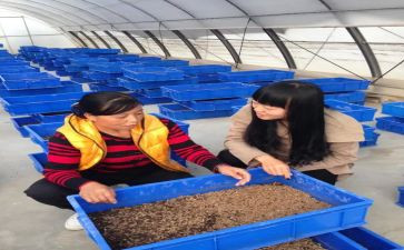 养殖月总结精选8篇