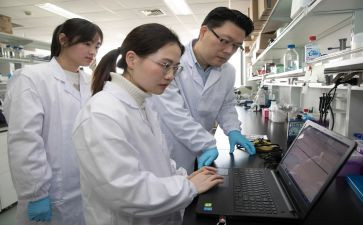 局研究工作报告5篇
