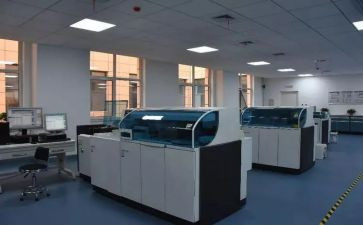 2024年检验科年度个人总结6篇