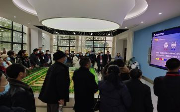 体育教师研修心得体会范文5篇