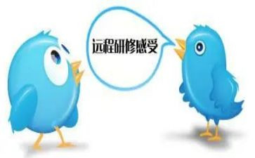 2024网络研修总结6篇