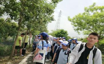 研学游的心得体会模板7篇