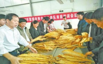 食品化验员个人总结8篇